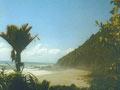Karamea history