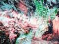 Satellite image