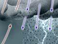 How a thunderstorm forms