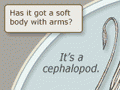 Shellfish classes
