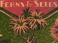 Nursery catalogue