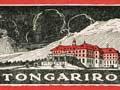 Tourist hotels