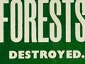 Interactive: ‘Save your forests’