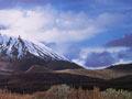 Mt Ngāuruhoe