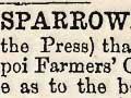 The sparrow pest