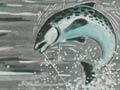 Sport in New Zealand brochure