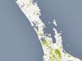 New Zealand's best soils