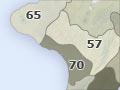 Ground beetle distribution