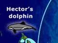 Distribution of <em>Cephalorhynchus</em> dolphins around the Southern Ocean