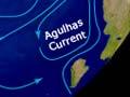 Circumpolar currents