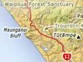 Waipoua and middle Northland
