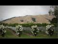 Roadside Stories: Wine success for Blenheim