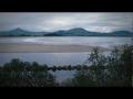 Roadside Stories: Otago Peninsula wildlife