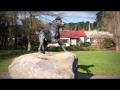 Video: Huntaway in Hunterville - Roadside Stories