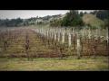 Roadside Stories: Fruitful Eskdale
