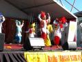 Video: Punjabi Dance at India Festival 2010