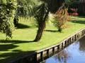 Fendalton garden