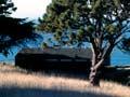 Godley Head gun emplacement