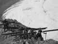Carrying planks for a hut