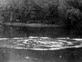 Ūpokongaro, Whanganui River