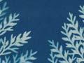 ‘Blue book’ illustration 