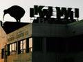 Kiwi as symbol: Kiwi Bacon factory