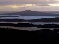 Rangitoto Island
