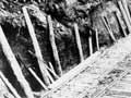 Building the railway