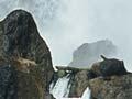 Tarawera Falls