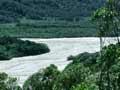 Forest on glacier moraine