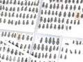 Arthropod collection