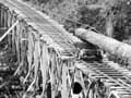 Bush tram viaduct