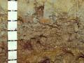 A soil profile