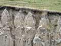 Deep loess 