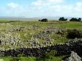 Ōtuataua stonefields 
