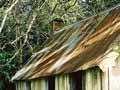 Slab whare 