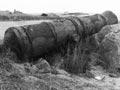 Cannon, Ruapuke Island
