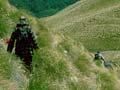 Tramping