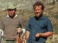 The last goat on Macauley Island