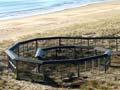 Predator-proof fence