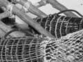 Model eel weir 
