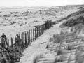 Windbreak 