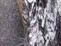 Greywacke and schist