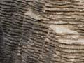 Pancake Rocks