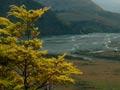 Waimakariri River