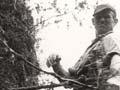 Man up a tree supported by ropes and harness
