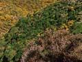 Mixed shrubland, Wellington south coast