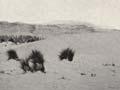 Inland dunes