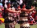 Pasifika festival 