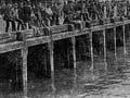 1890 maritime strike, Auckland wharves